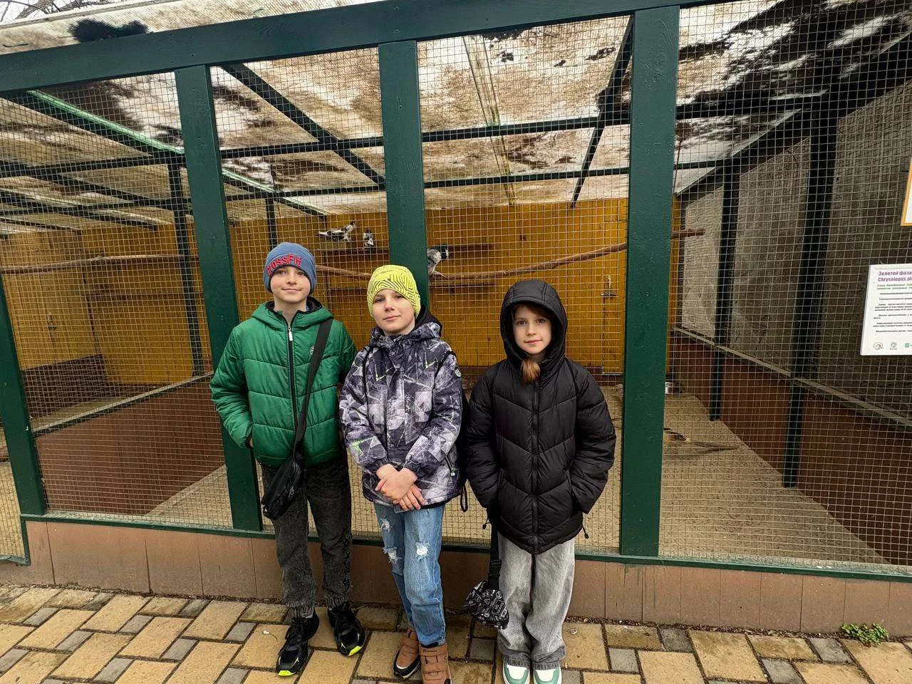Обучающиеся 7А, 5 В, 3 А и 2 Б  классов - Алефирова Дарья, Сологуб Арина, Богданова Мил...