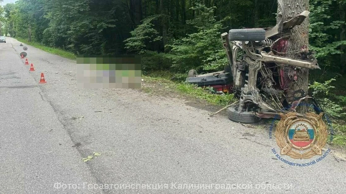 Volkswagen разорвало после удара о дерево: в ДТП под Гвардейском погибла пассажирка