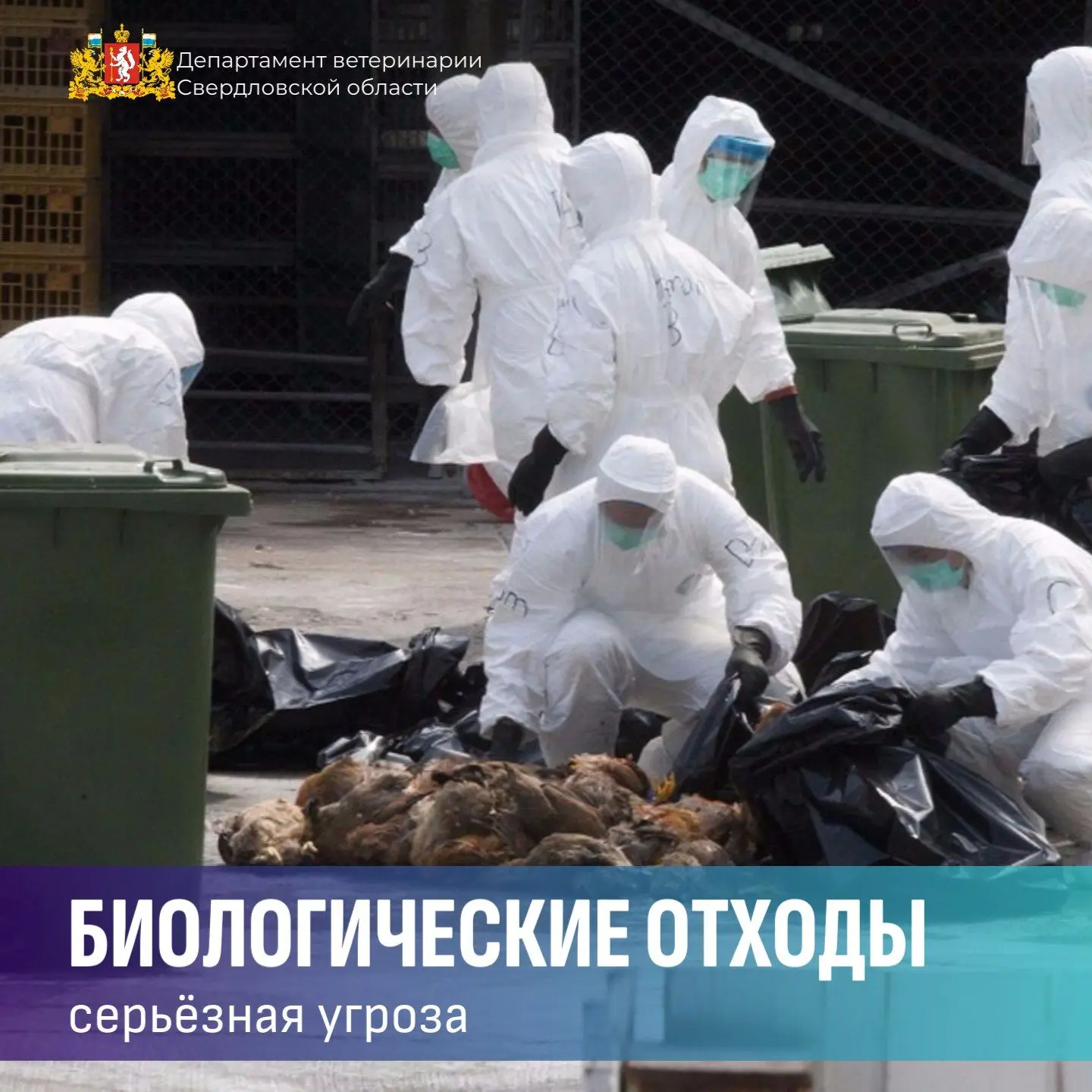 ⚠ О недопустимости сокрытия заболеваний животных и незаконного захоронения биоотходов С...