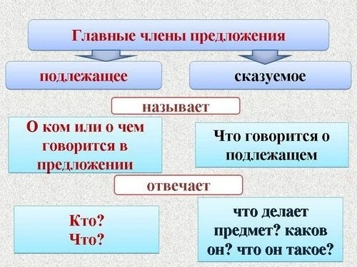 ✅Главные члены предложения