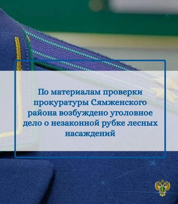 🔍 Прокуратура Сямженского района провела проверку соблюдения требований лесного законо...