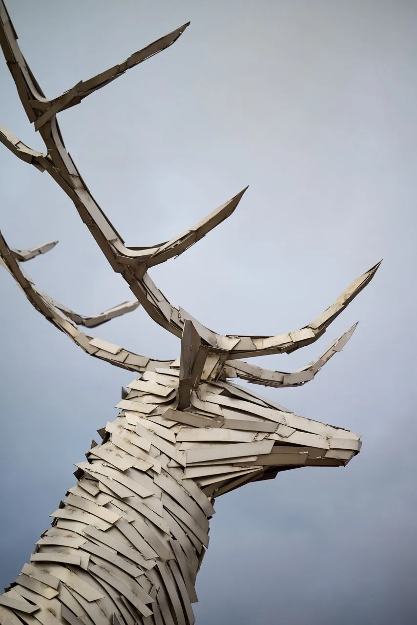 🦌 Скульптура оленя на Нижне-Волжской набережной