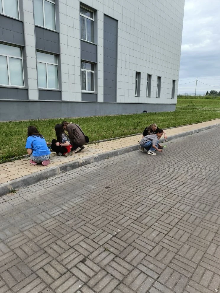 Лучшие в труде на пришкольном участке за предыдущую неделю👍 ‎                                      