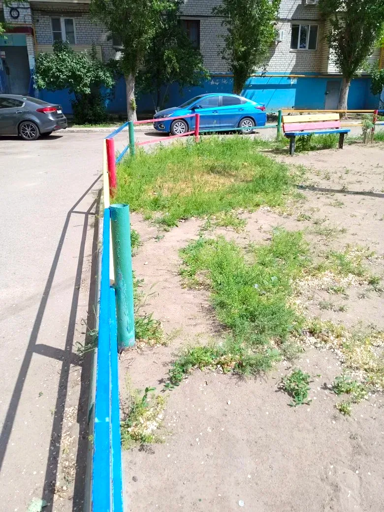 К новости «🌱 Ухоженные газоны и порядок во дворе!»