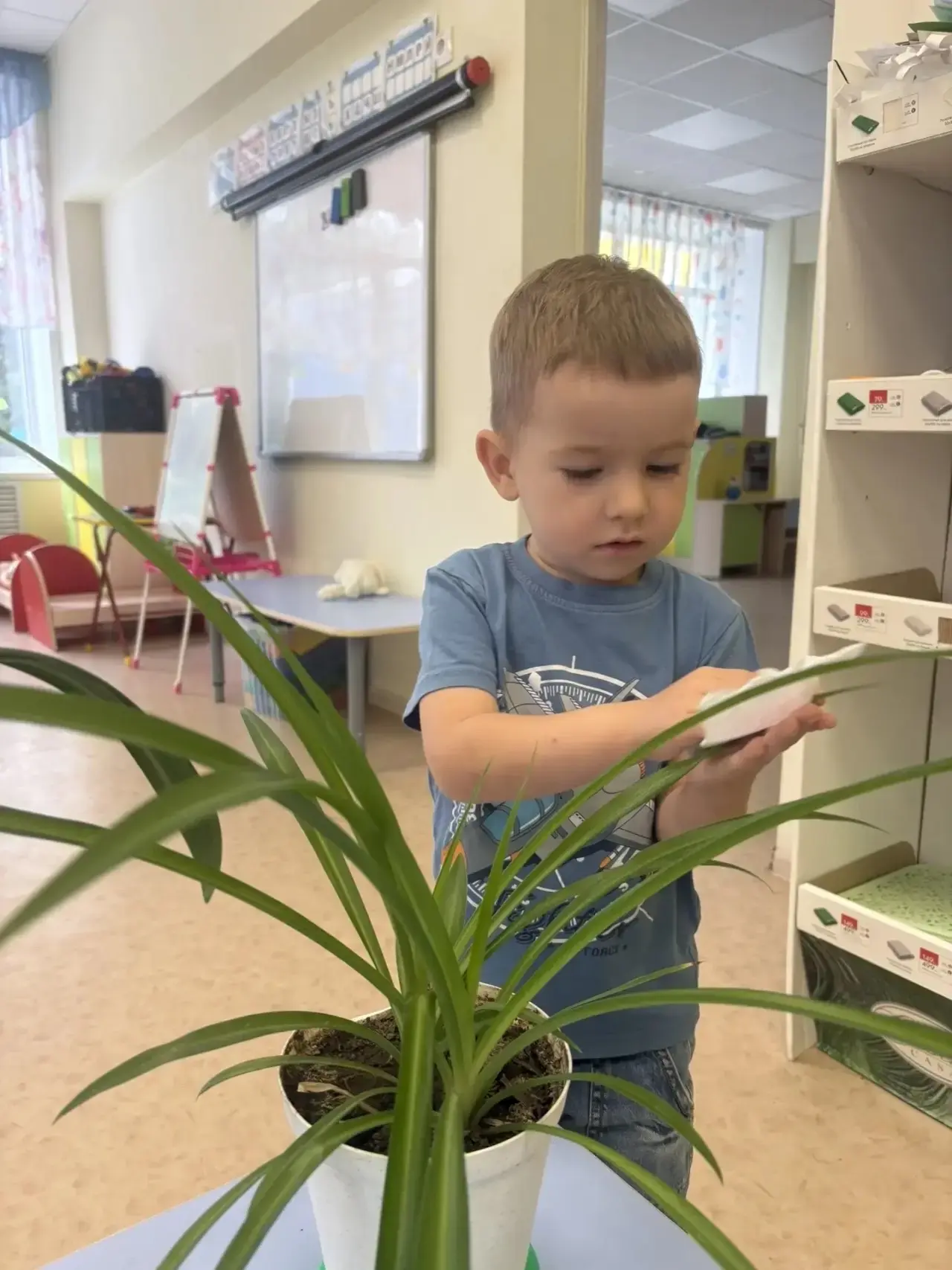 Маленькие помощники: ребята ухаживают за комнатными растениями!🍀🪴🌱