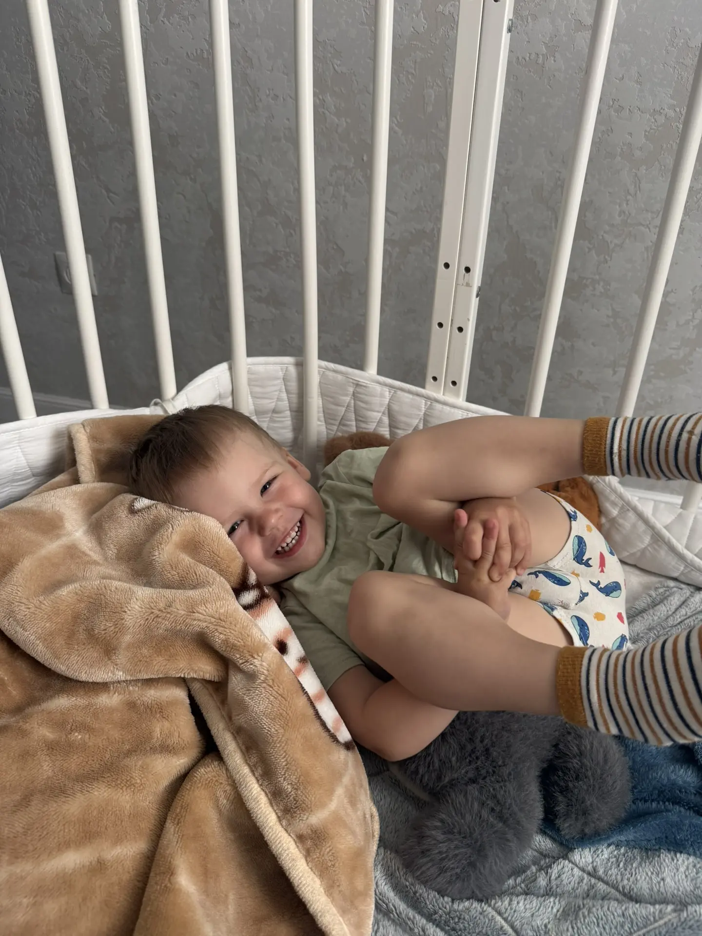 Сегодняшнее утро началось не в привычные 9 утра, а на час раньше.
Макар проснулся и потребовал свой 