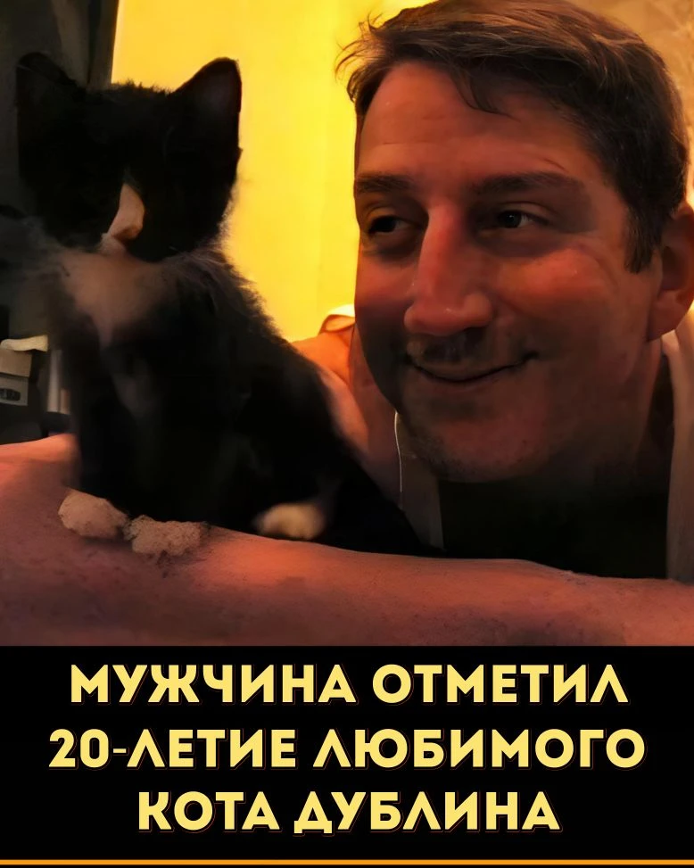 20 лет вместе: история, которая растопит ваше сердце ❤️🐱

В 2006 году в его жизни появился маленьки