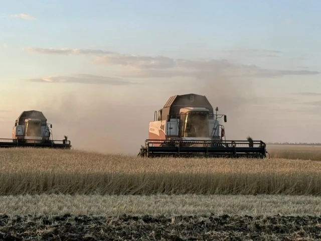 Последний колос: жатва-2026 в «Донском» завершена🌾

Поля ООО «Сельскохозяйственное предприятие «Дон
