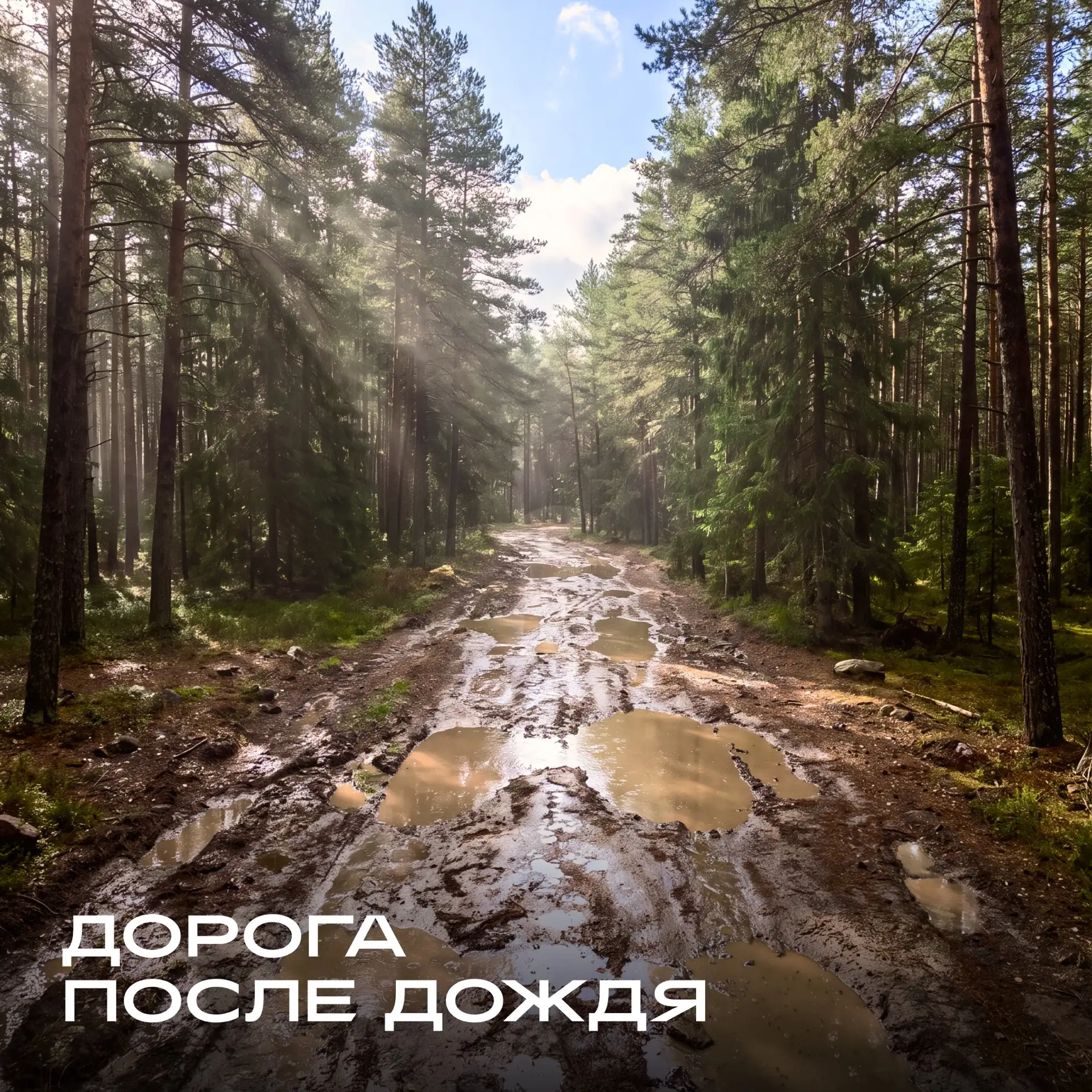 Когда асфальт заканчивается, возможности HAVAL H7 только начинаются.

Размытая колея, скользкий подъ