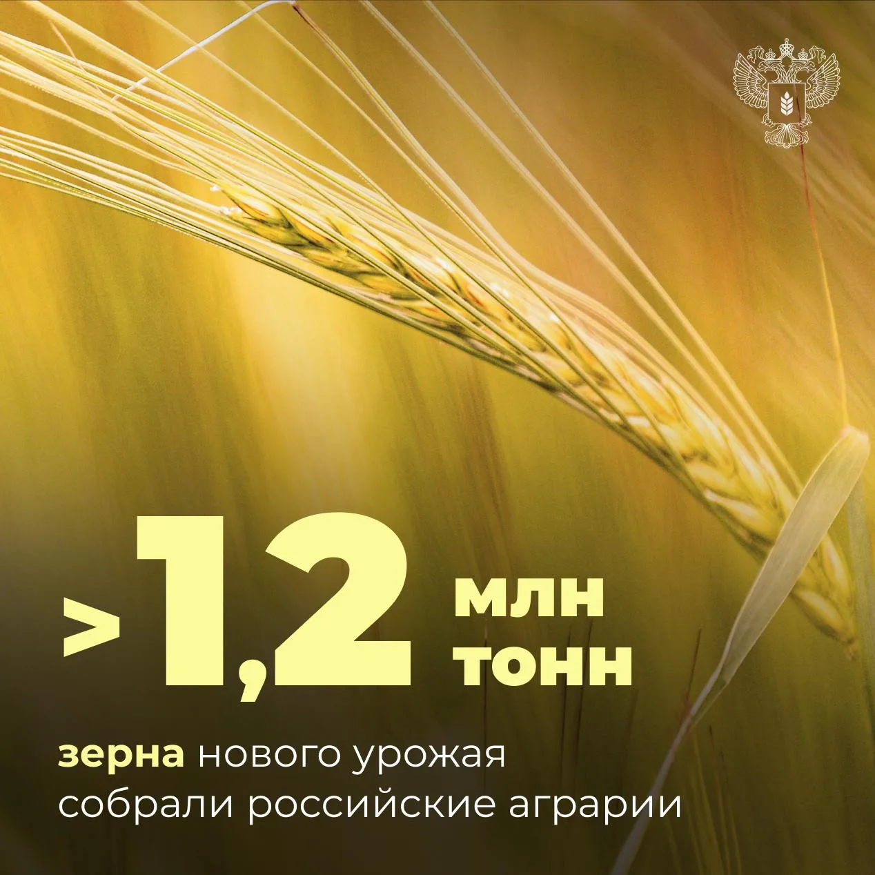 🚜 Первый миллион тонн зерна нового урожая