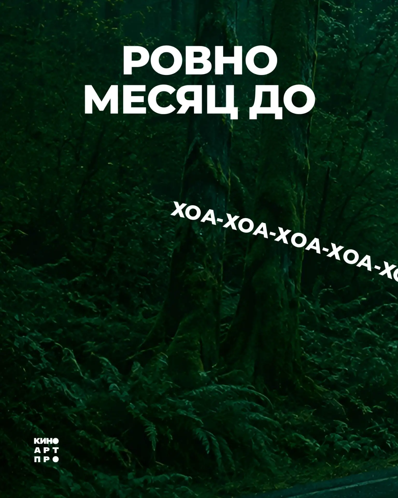 И давно тебе 17-го сентября в кино на «#Сумерки»?