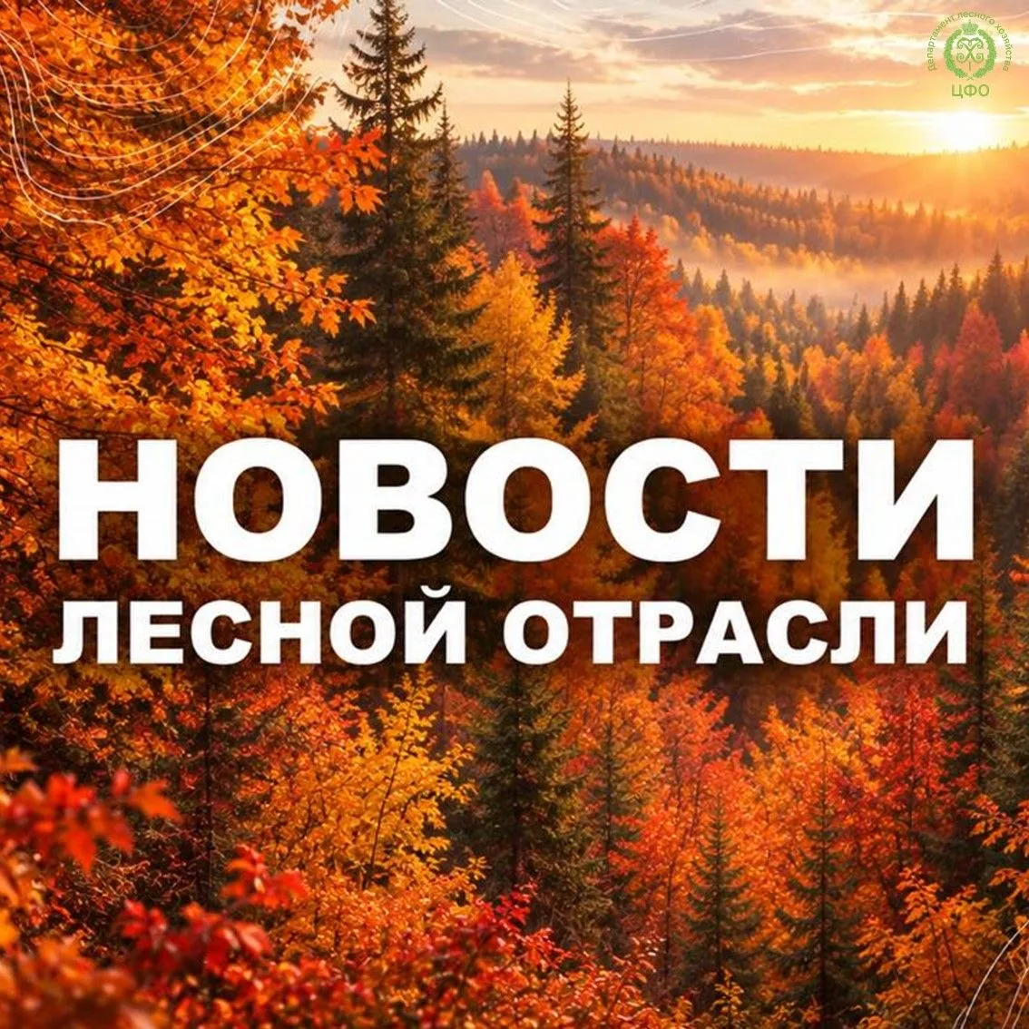 🟢 Regions.ru: В Орехово-Зуевском лесничестве выявлено более 160 административных право...