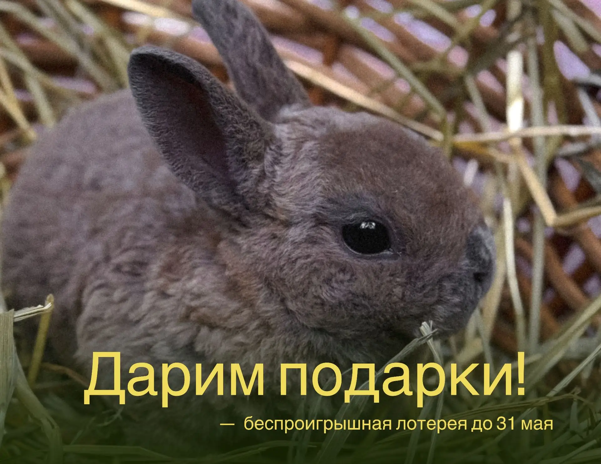 С 22 по 31 мая — подарок при заезде 🎁
