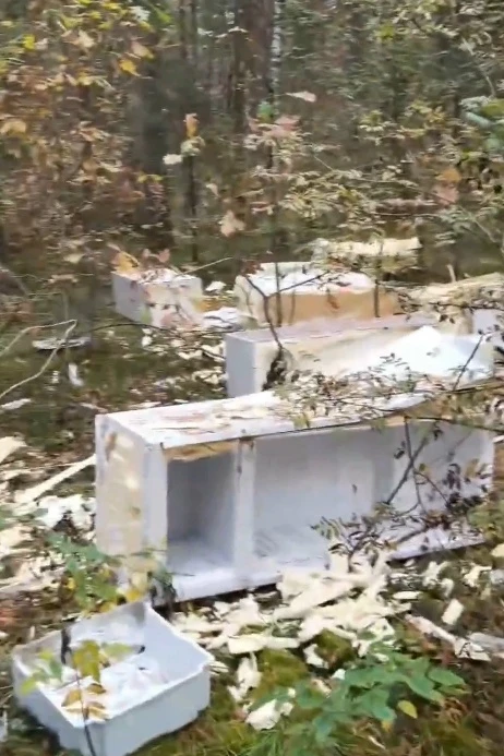 В лесу под Владимиром обнаружено кладбище морозильных камер