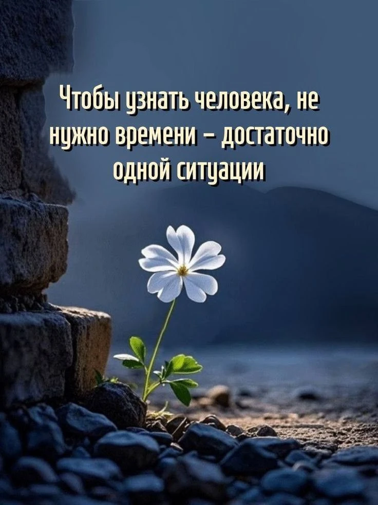 #цитаты