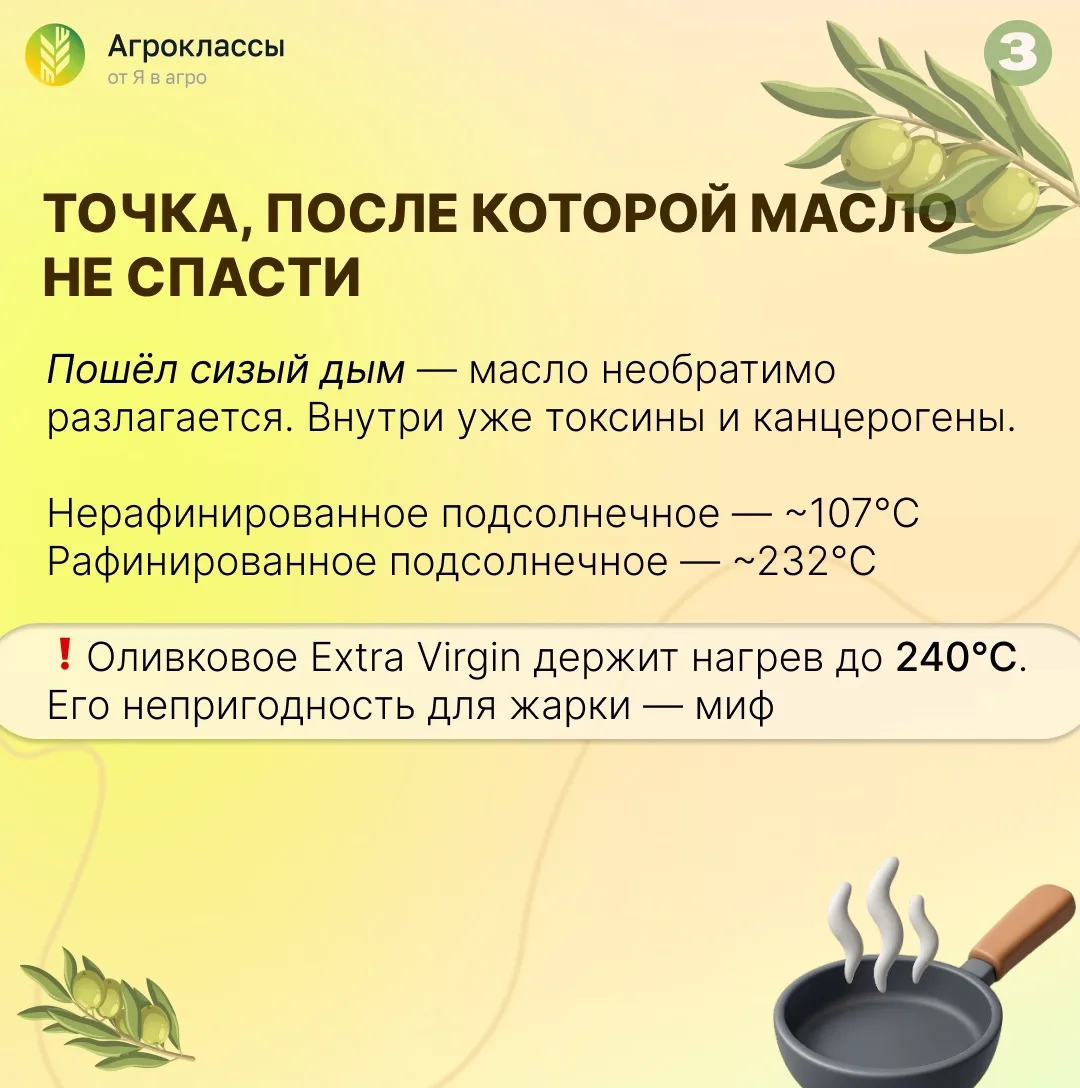Ваша кухня – химическая лаборатория…  …и масло в ней – главный реактив.  Рассказываем об этом подроб