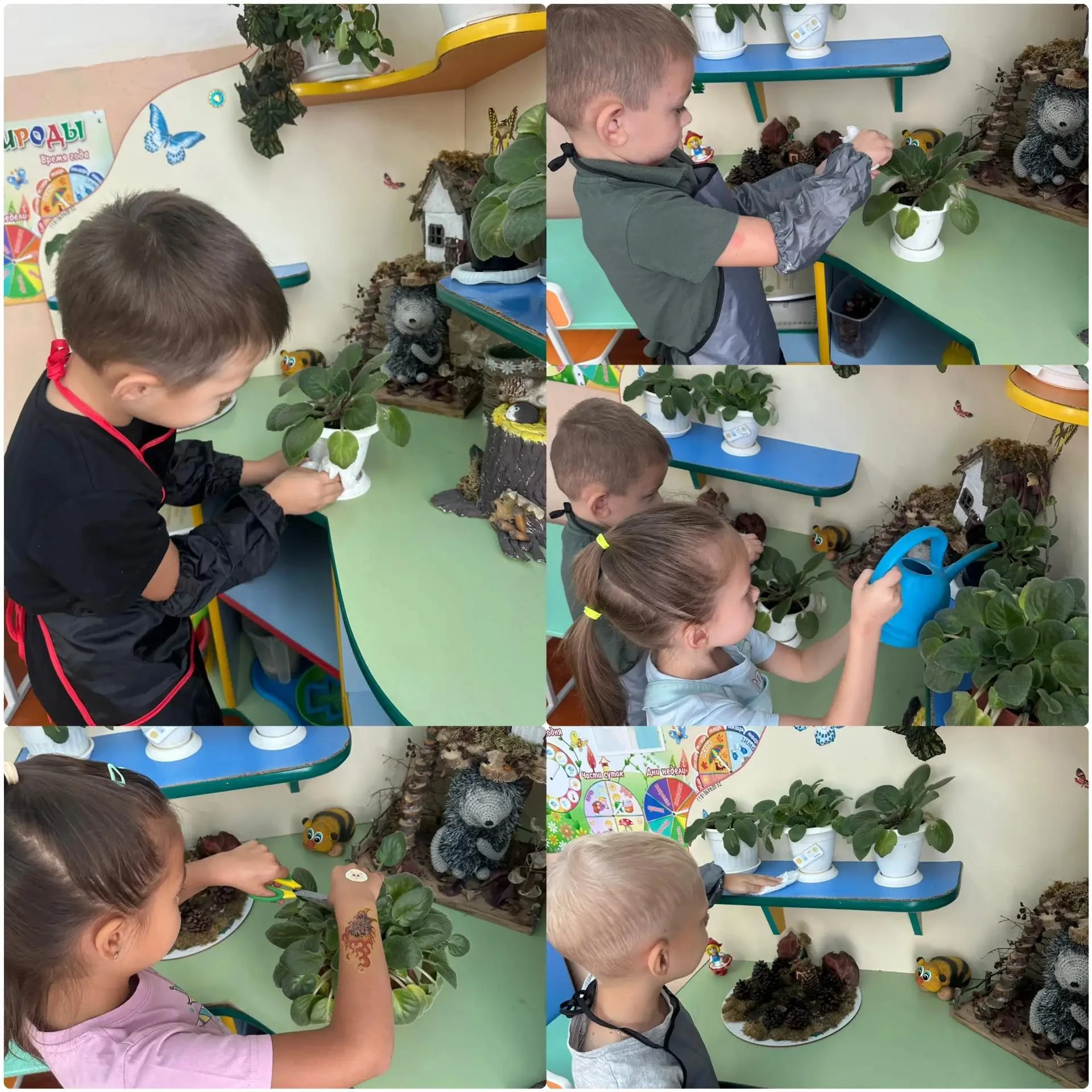 🌿 Маленькие хранители природы: заботимся о зелёных друзьях!