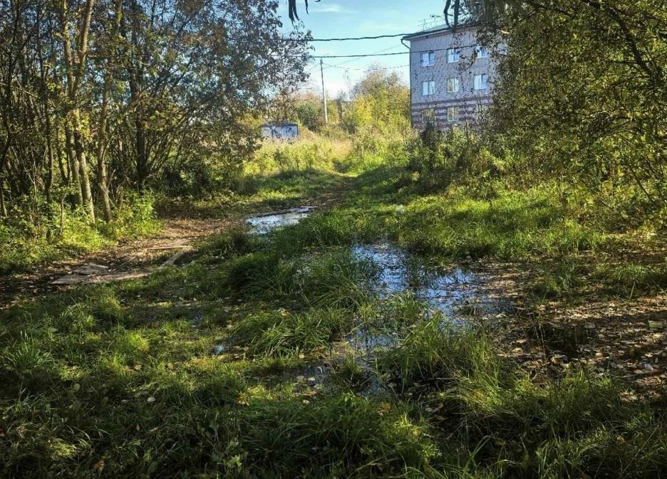 В Лянгасово ликвидировали зловонный «родник», который почти год топил территорию рядом ...
