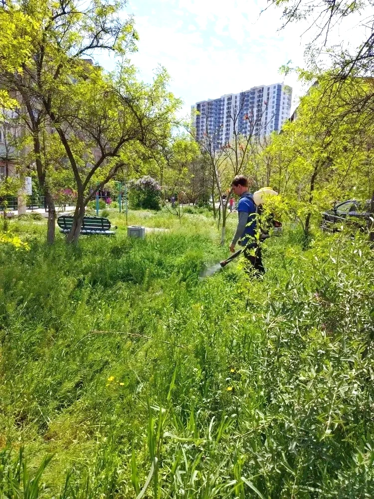 К новости «🌿 Дышим легко и гуляем с удовольствием!»