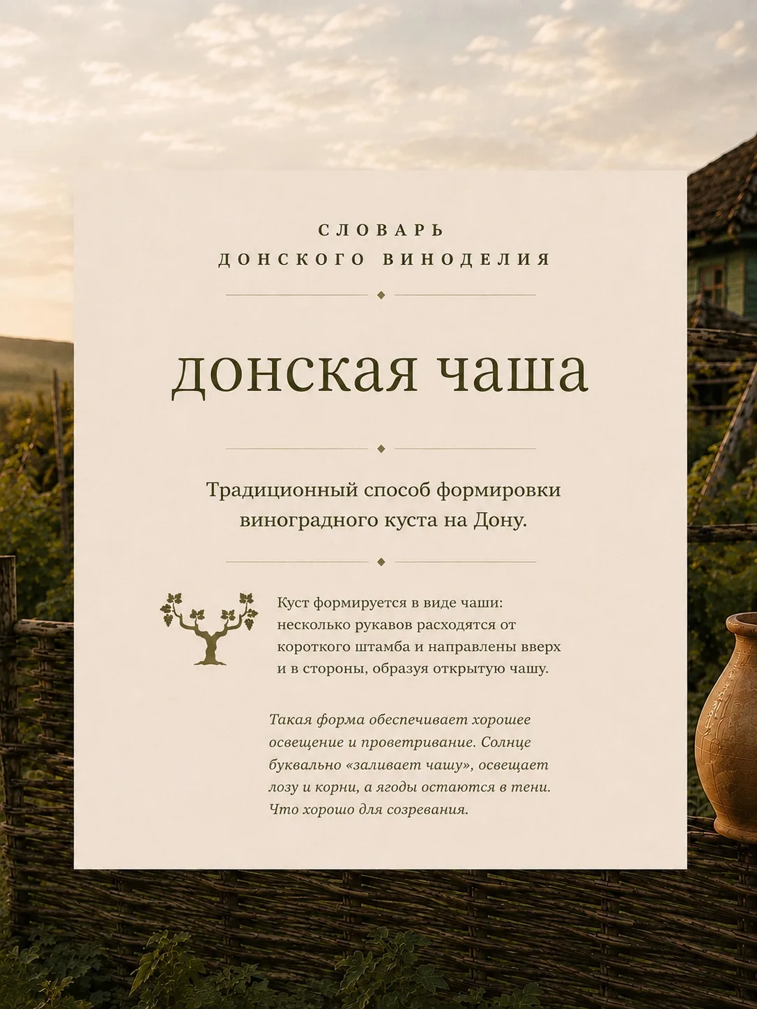 Продолжаем рассказывать о терминах, связанных с виноделием Долины Дона.