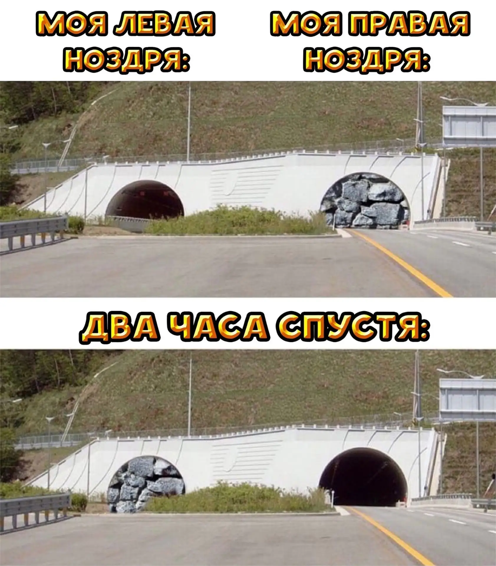 Наш телеграм: https://t.me/votetoprikol90
