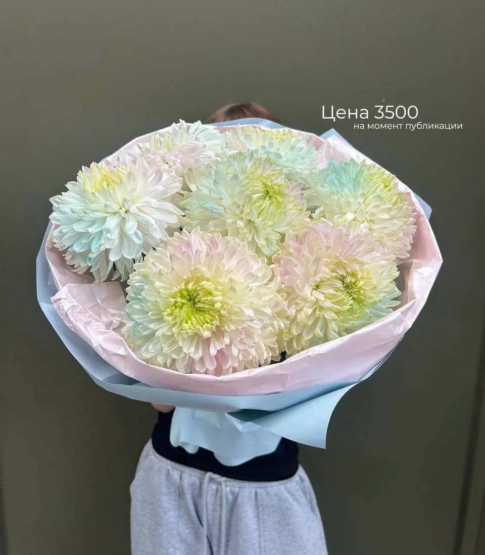 Заказать -> +7 989 703 7170