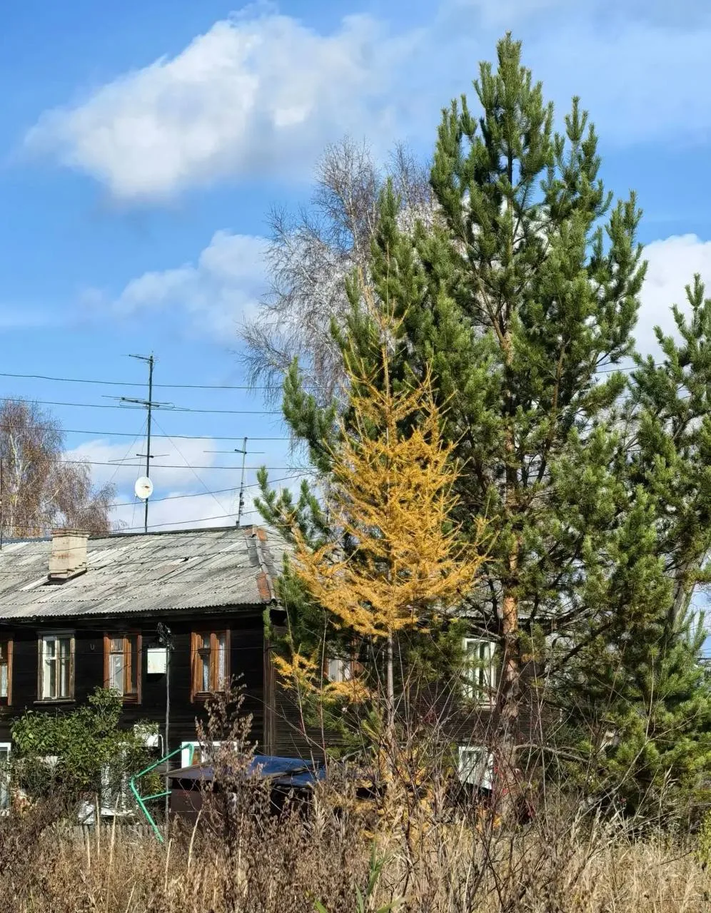 Братск. Улица Некрасова.