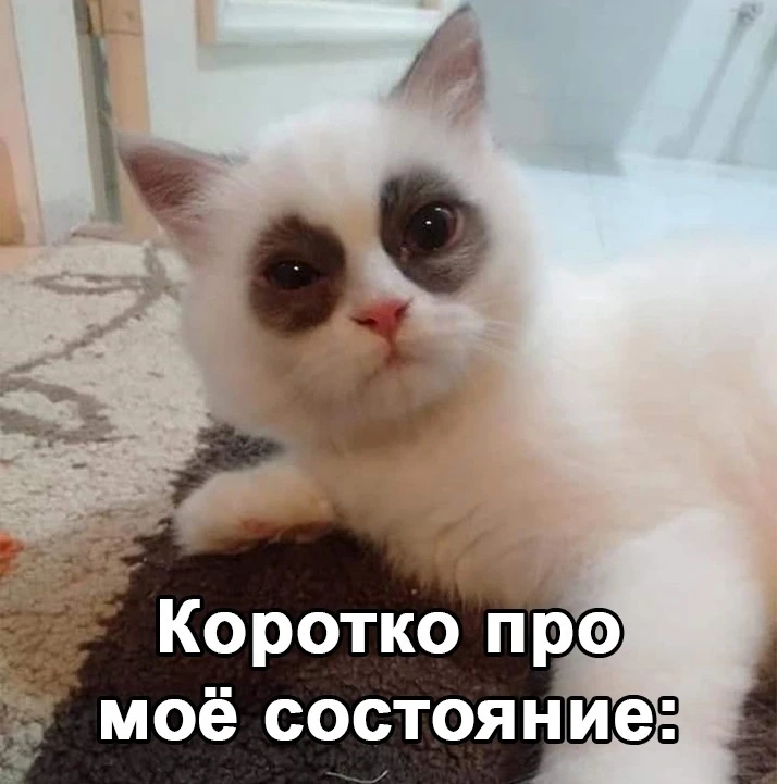 Утром после втречи с подругами в пятницу😆