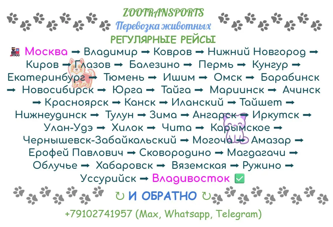 Контакты: +79102741957 (Max, Whatsapp, Telegram).

✅ Регулярные перевозки по маршруту:

🚌 Москва ➡️