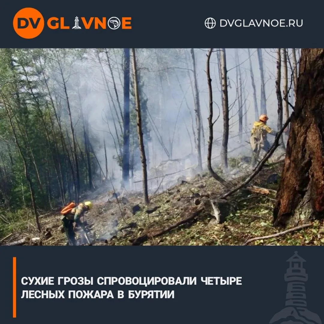 Молнии подожгли тайгу на севере республики

За минувшие сутки молнии подожгли лес в Северо-Байкальск