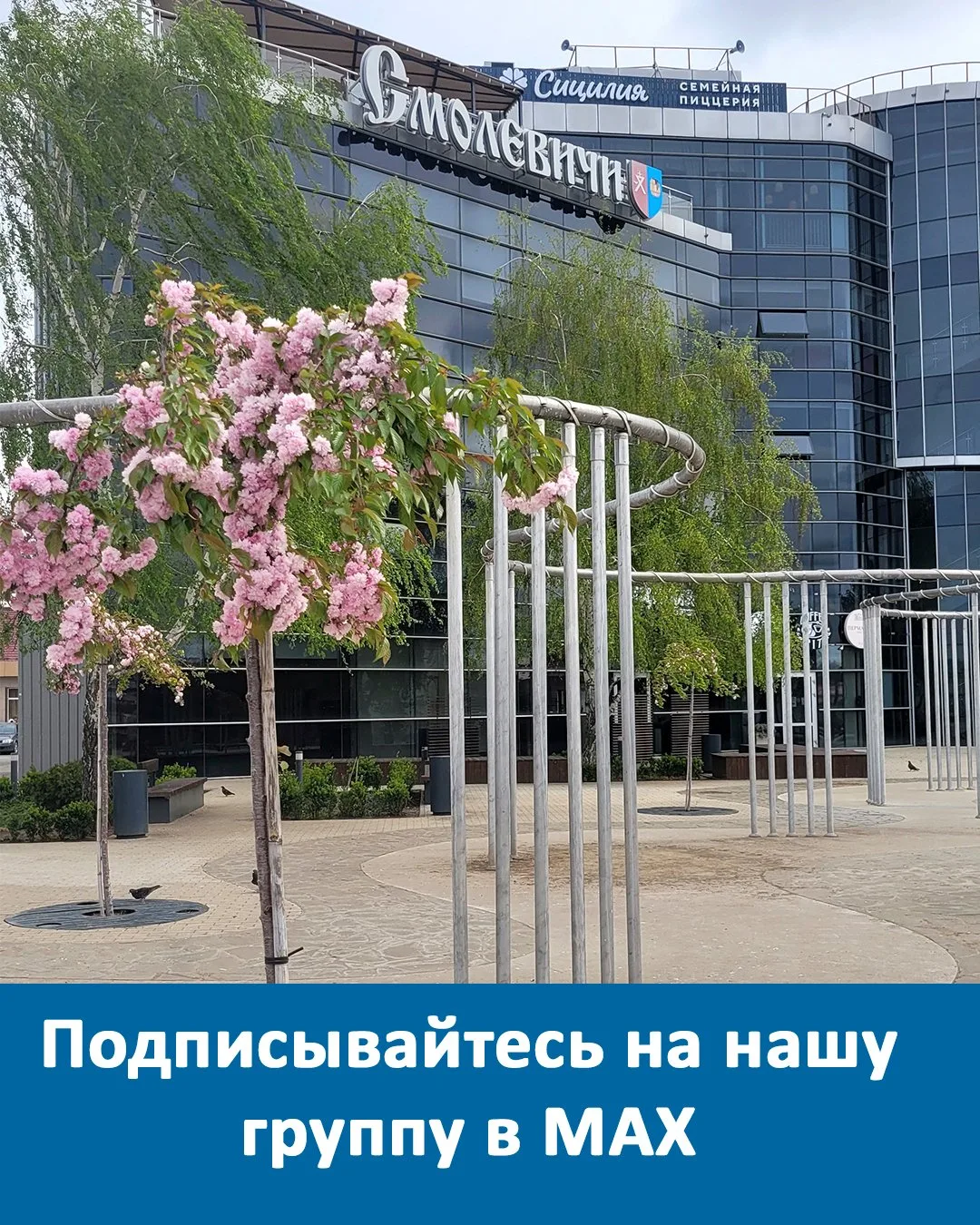Подписывайтесь на наши группы в MAX