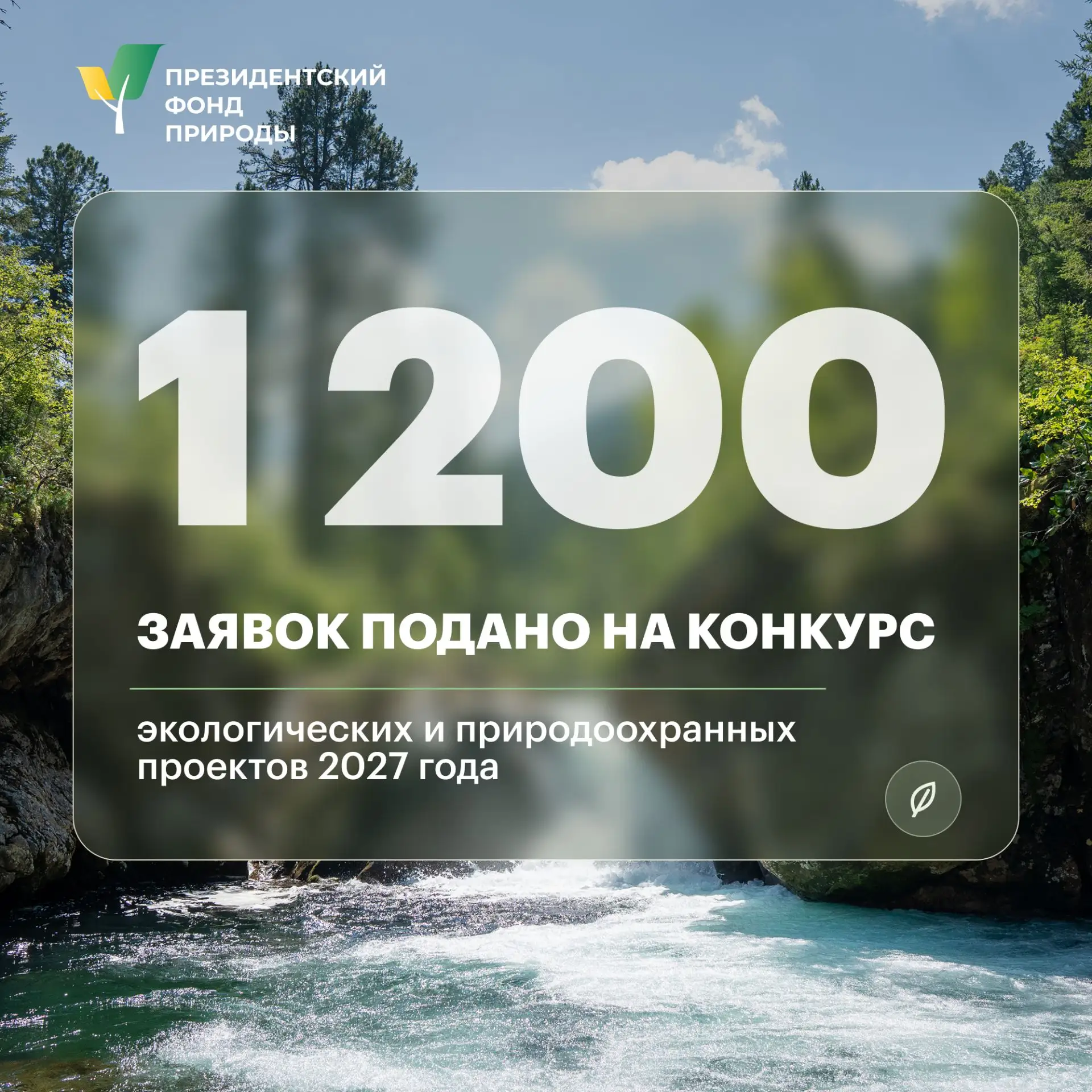 Делимся первыми итогами приемной кампании конкурса Президентского фонда природы 2027 года.