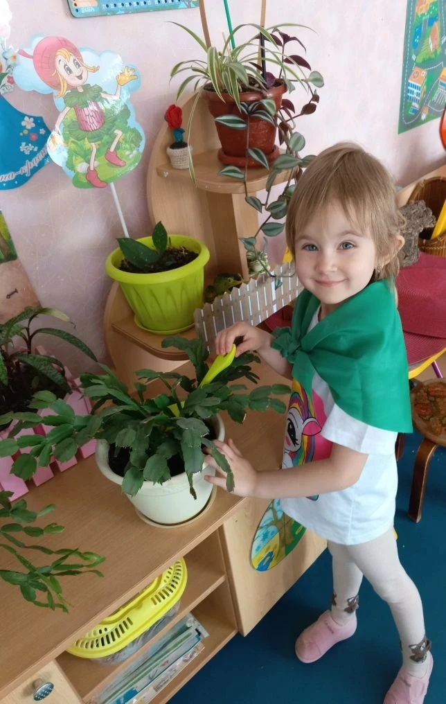 Работа в уголке  природы в детском саду- это прекрасное средство всестороннего развития детей.  Раст
