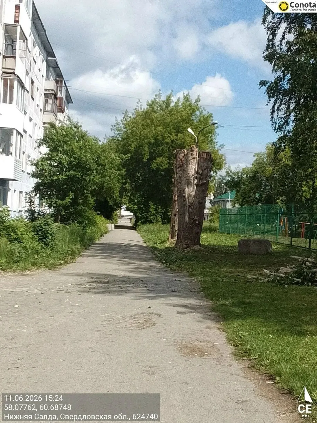Завершение работ по опиловке деревьев.