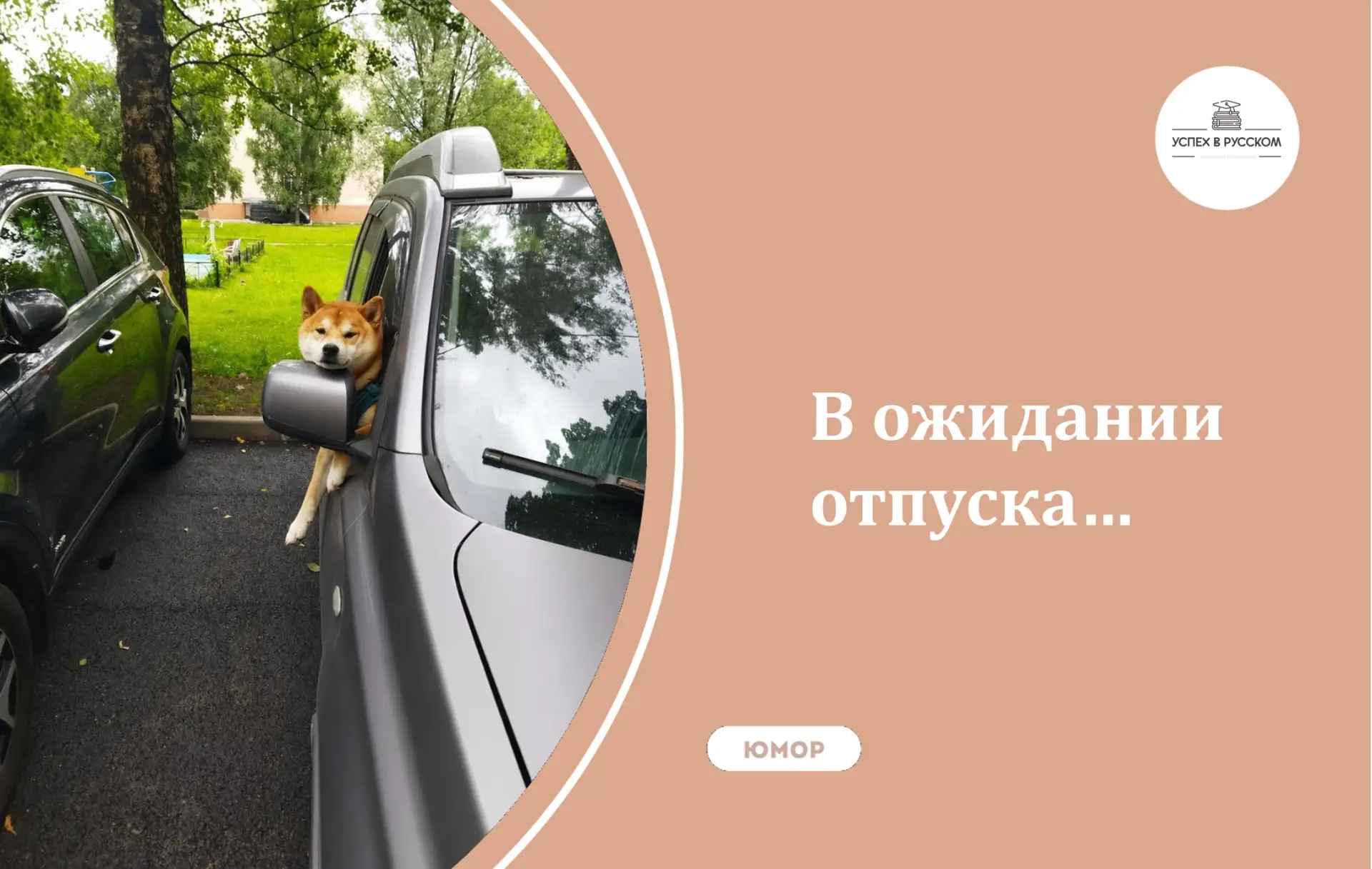 🔸Навигация по каналу + отзывы