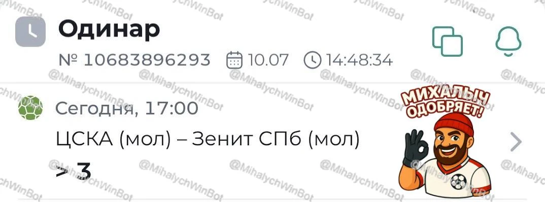 ЦСКА (мол) — Зенит СПб (мол). Молодёжная футбольная лига России. Прогноз: тотал матча больше (3)

17