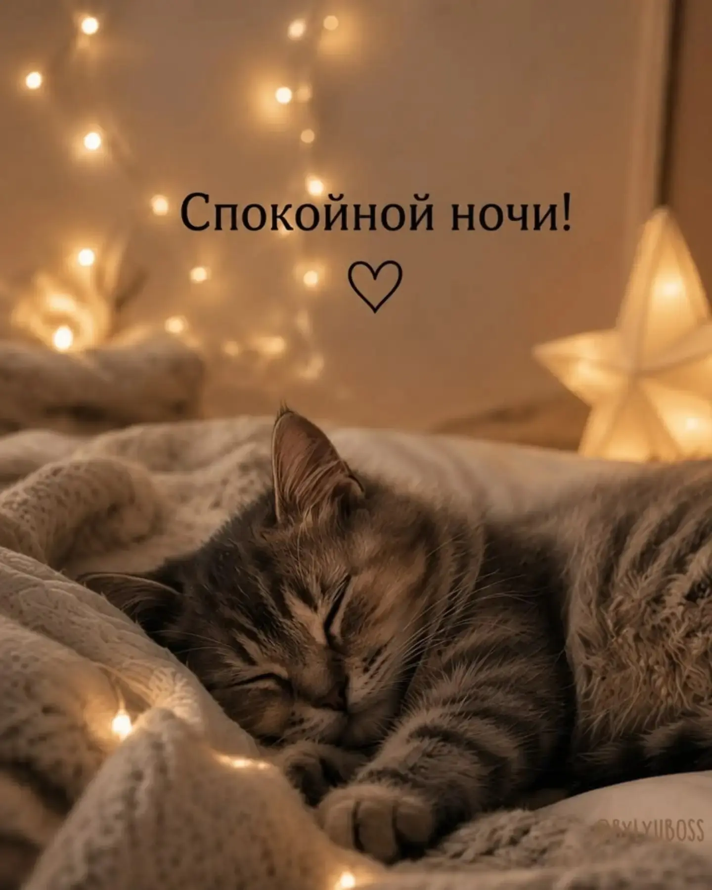 Спокойной ночи!😴