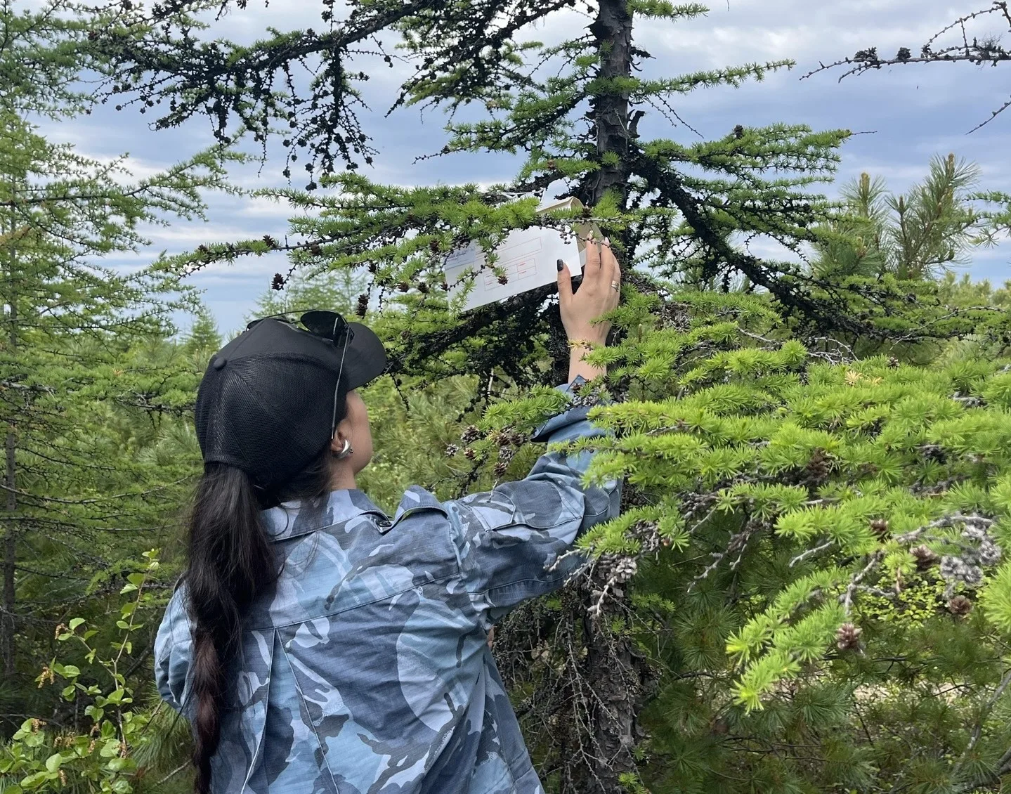 🌱Управлением Россельхознадзора в Магаданской области в рамках проведения мониторинга к...
