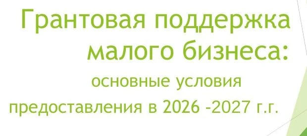 ❗️Грантовая поддержка малого бизнеса в 2026-2027 году
