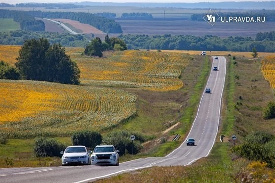 В Вешкаймском районе починили разбитую дорогу

Жительница Ульяновской области обратилась в прокурату
