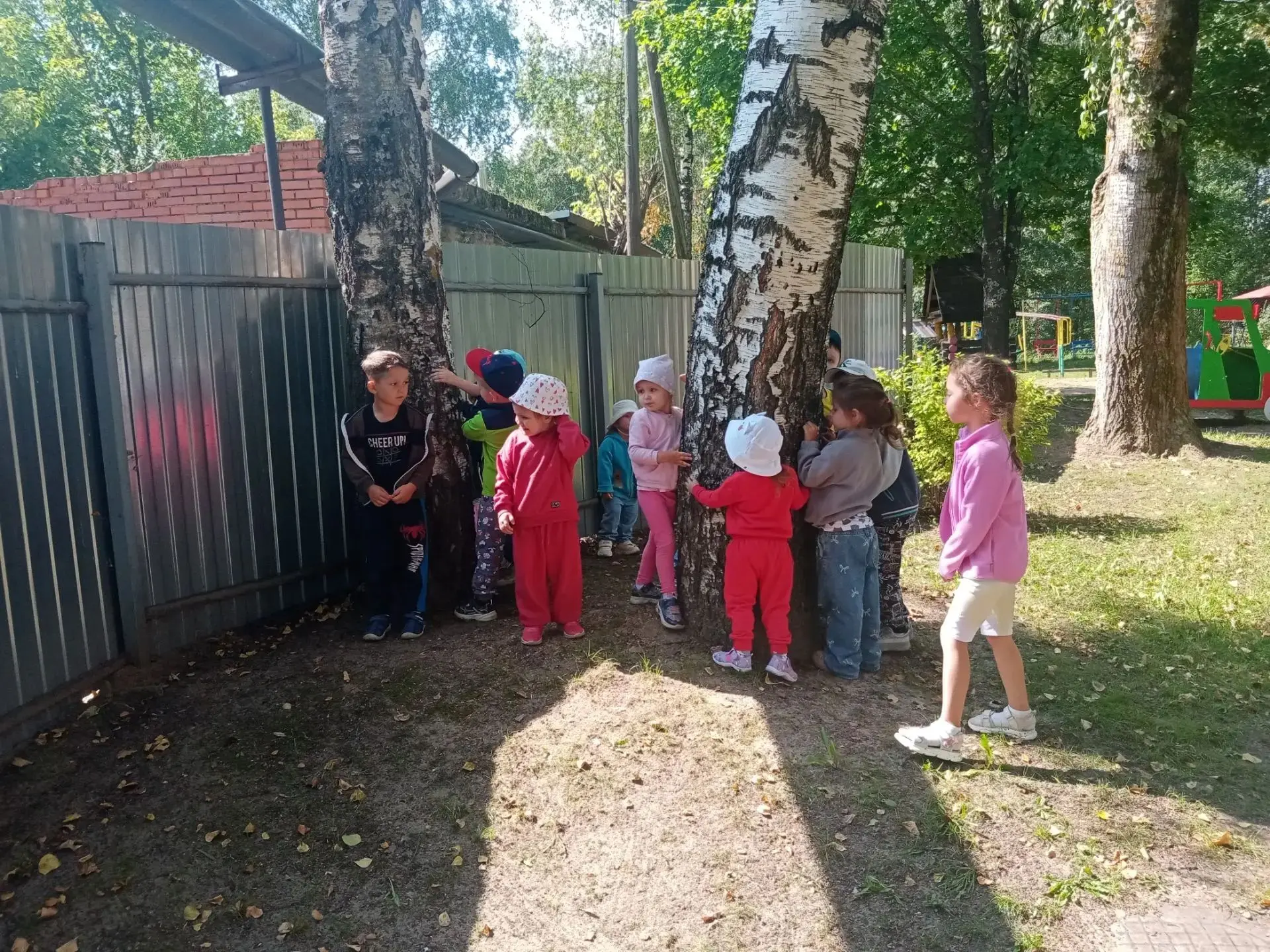 Прогулка в ДОУ посвященная изучению деревьев 🌳 на участке, может быть очень познавател...