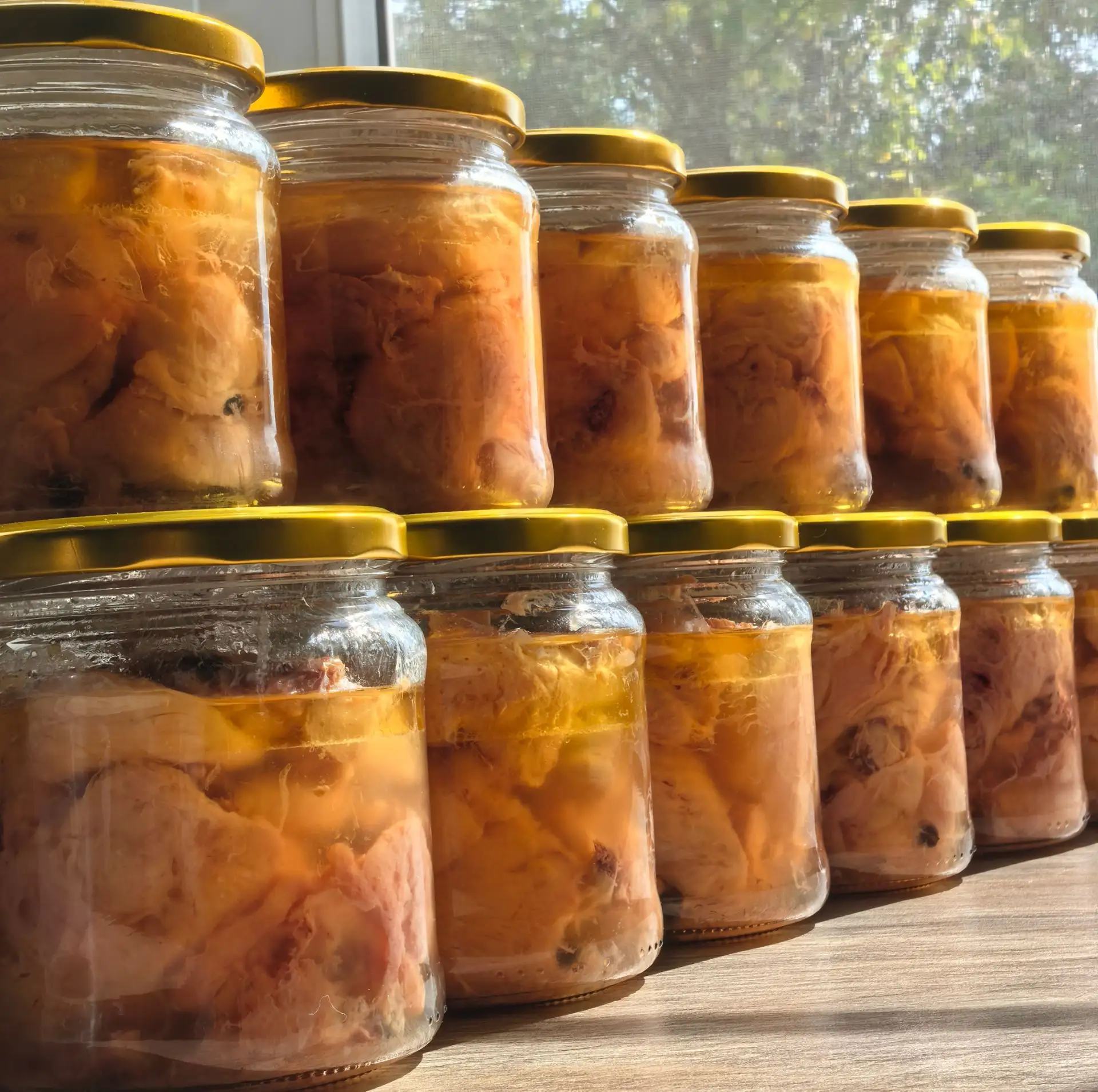 Домашняя, ароматная тушёнка из свинины для дачи, рыбалки, охоты, поездок и быстрого ужи...