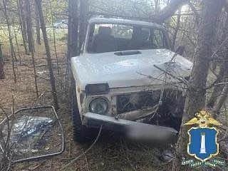 В Вешкаймском районе водитель без прав съехал в кювет и наехал на дерево