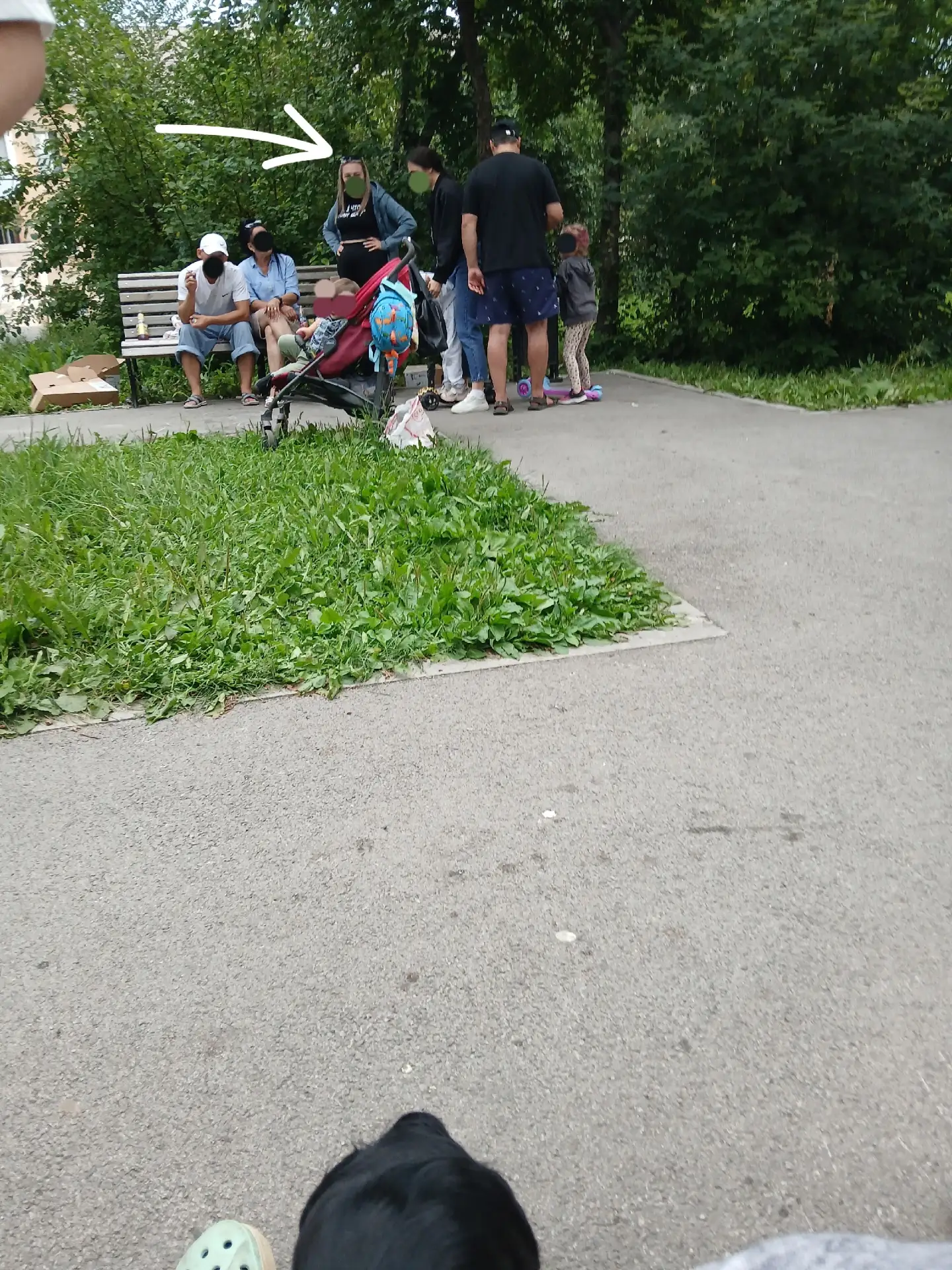 Данные особи 19.07.2026 г. «прекрасно» проводили время в сквере по адресу Комсомольская...
