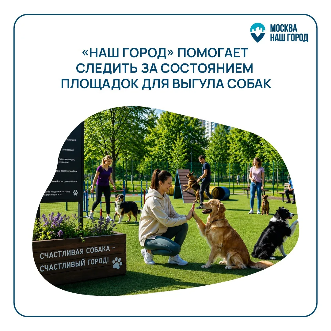 🐕‍🦺 Какое же это удовольствие — заниматься с любимым питомцем на современной площадке! 

Когда вок