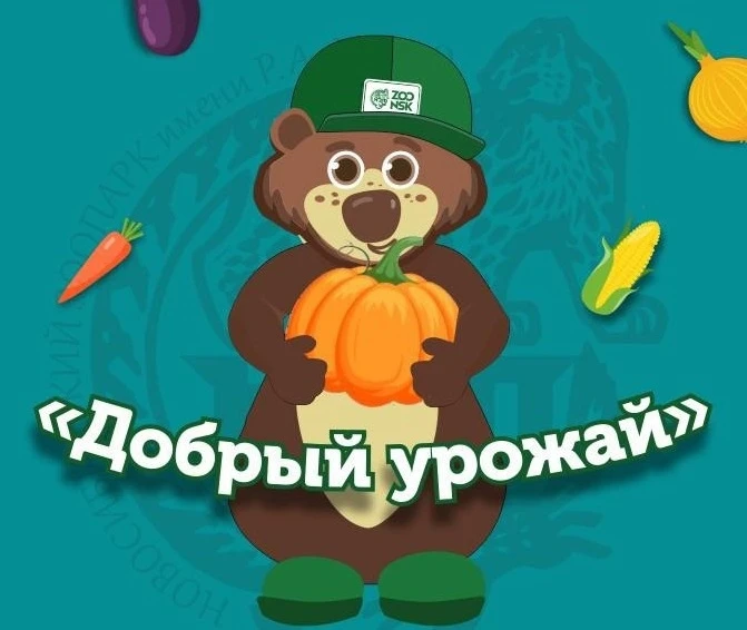 Липецкий зоопарк принимает кабачки