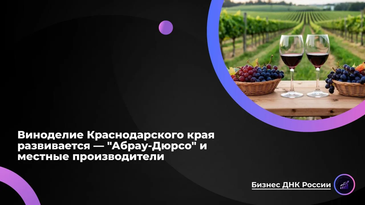 Виноделие Краснодарского края развивается - "Абрау-Дюрсо" и местные производители