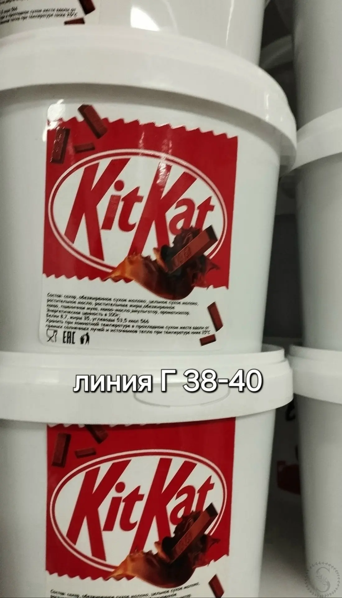 https://vk.com/photo-184814919_493574785