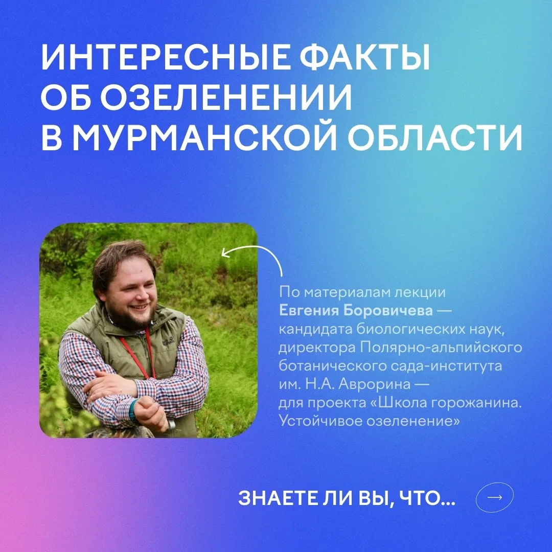 Кашпо-морозилка, хитрые люпины и растения-счетоводы🌿