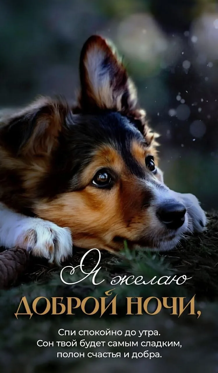 Открытки любимым 🌸🥰